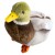 aa2f7e5916c50c6eec8ea7c489996ce8