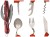 2d2ce250a9ccf3c8fcd9d23a9bf5142c