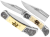 29682e9bba57624cfc3f7559da5ca9af