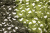 e64309e4b8932c1f26f439763607e357